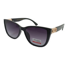 Van Regel Polarized р3561 с2 чорно/сірі