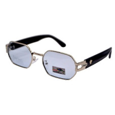 Жіночий Polarized Хамелеон Ver х672 с5 сталь блакитна-лінза